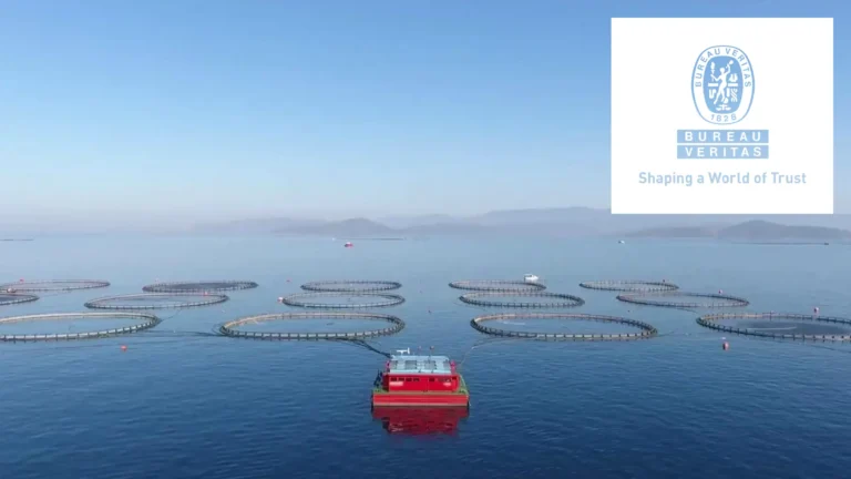 bureau veritas slofec tank inspection 2 768x432