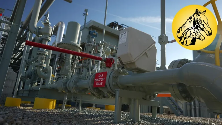 mustang sampling lng sampling telemetry 1 768x432