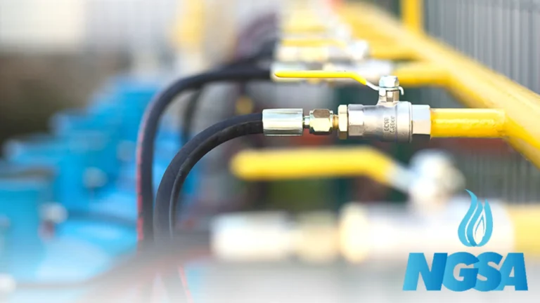 ngsa lng policy advocacy 1 768x432
