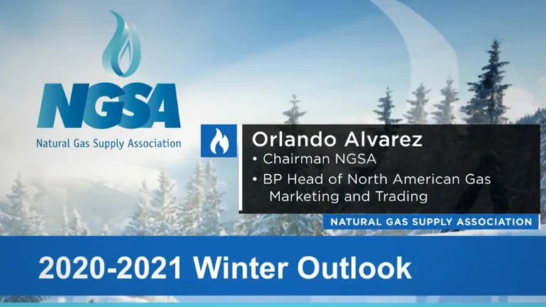 ngsa lng policy advocacy 2 768x432