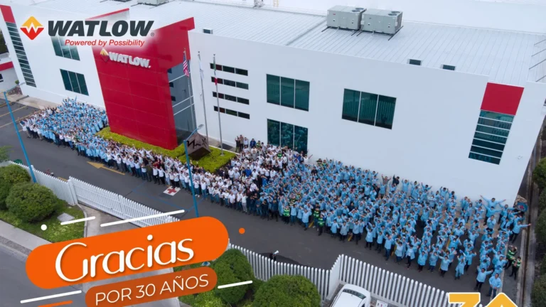 watlow lng electric heating 1 768x432