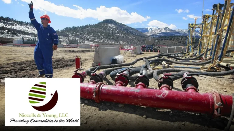 niccolls young commodity lng sourcing 2 768x432